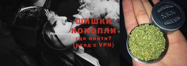 соль ск Инсар