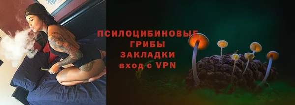соль ск Инсар