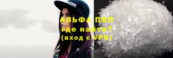 соль ск Инсар