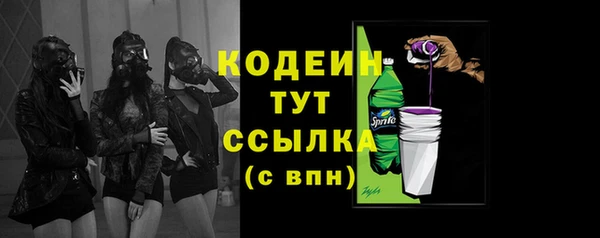 прущая мука Инта