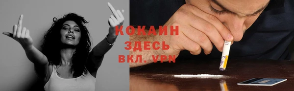 прущая мука Инта