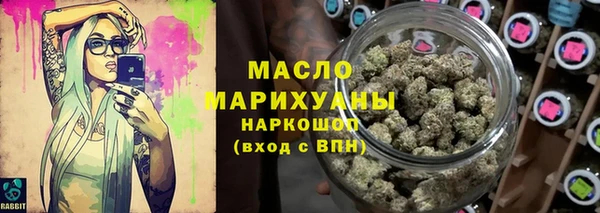 соль ск Инсар