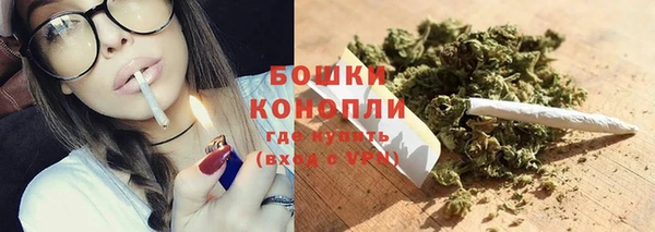 соль ск Инсар
