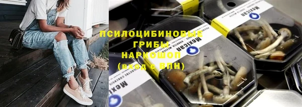 прущая мука Инта