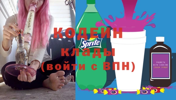 соль ск Инсар