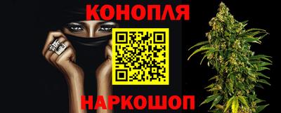 spice Дубна