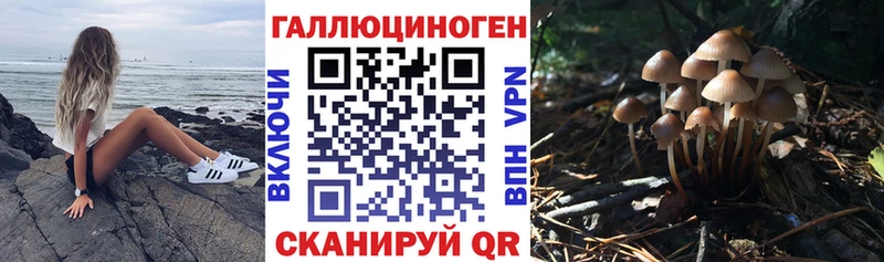 Псилоцибиновые грибы MAGIC MUSHROOMS  нарко площадка официальный сайт  Кизляр  купить  